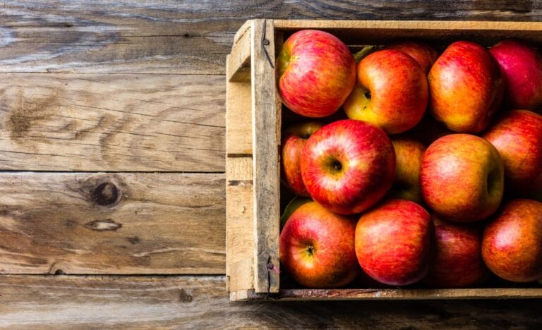 Your Guide to Storing Fresh Produce Through Winter