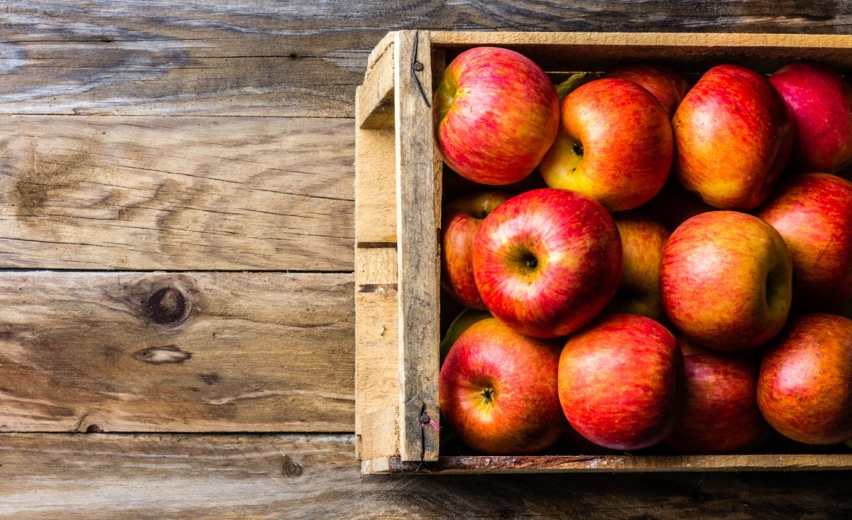 A crate full of apples on a wooden work bench.