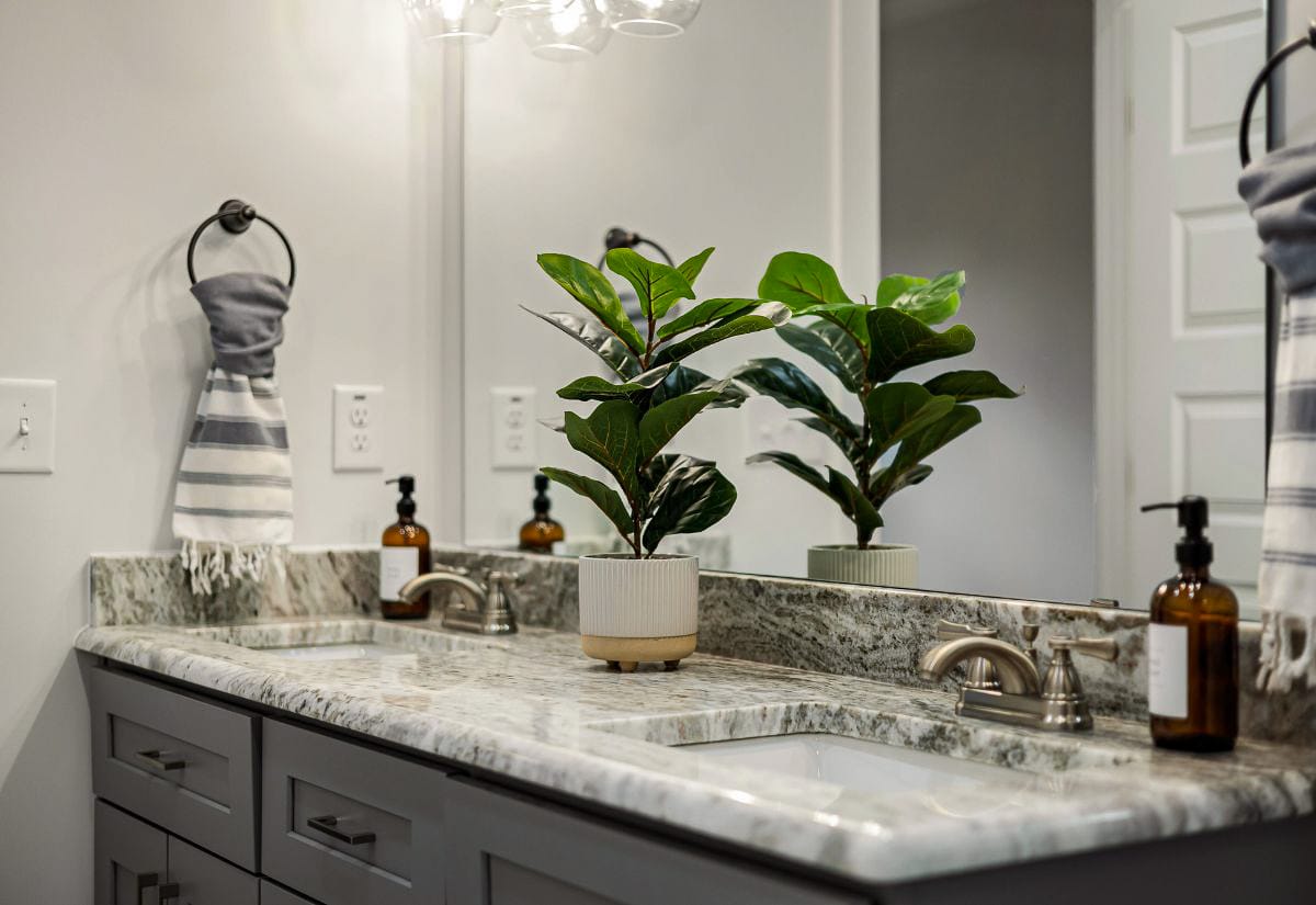 A small potted fiddle-leaf fig sitting on a bathroom vanity surrounded by natural light and humidity.