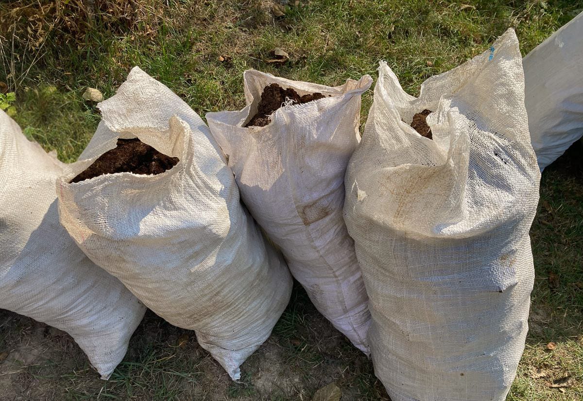 Several full white sacks of bagged manure sitting on the ground, likely collected for transport or sale.