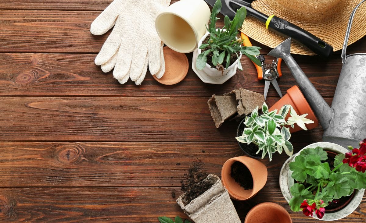 Gardening supplies laid out on a wooden table.