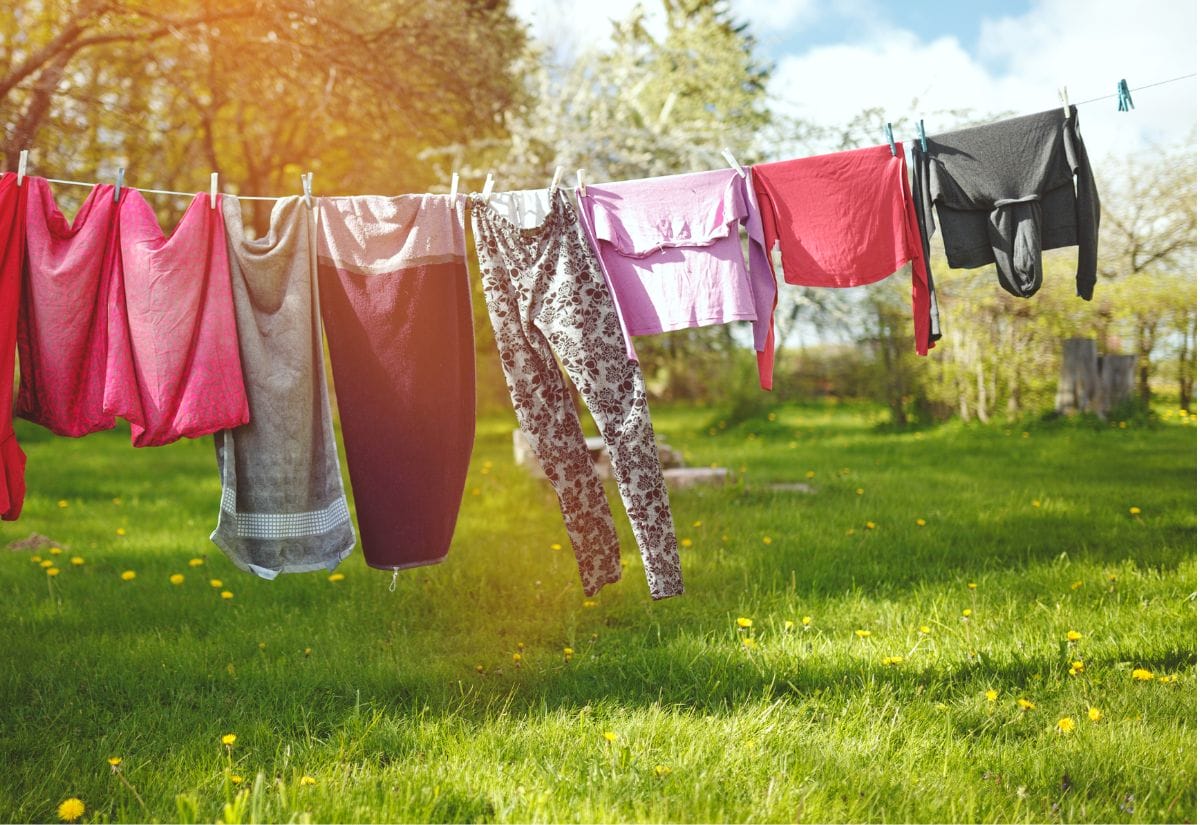 Colorful clothes hanging on a clothesline in a green backyard with trees and dandelions in the grass.