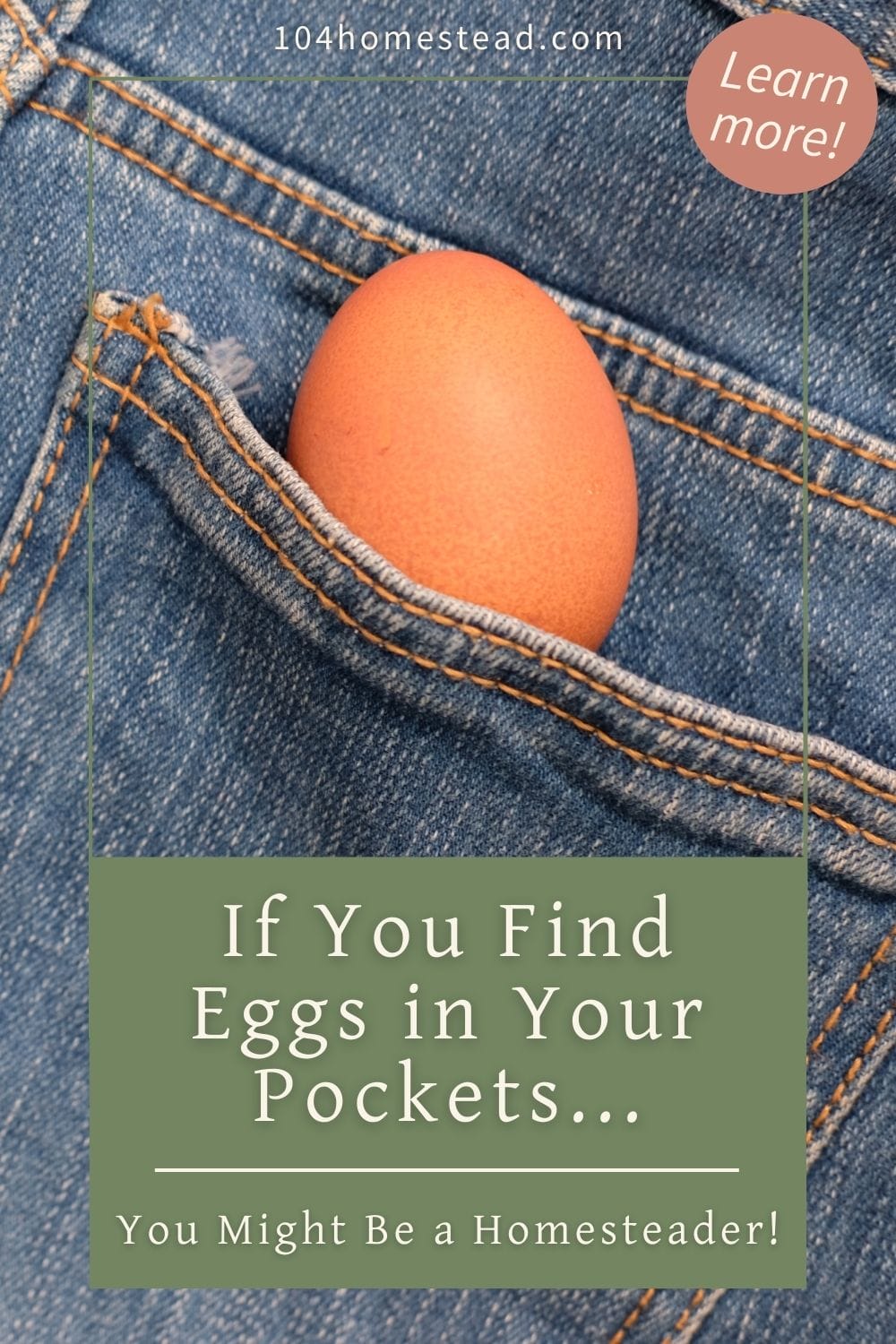 A brown chicken egg tucked into the front pocket of blue jeans, showing a humorous and relatable moment for chicken keepers.