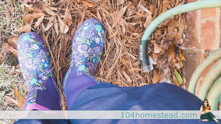 Signs that you might be a homesteader. You might be a homesteader if...