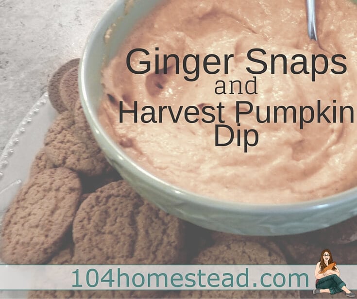 Ginger Snaps & Harvest Pumpkin Dip