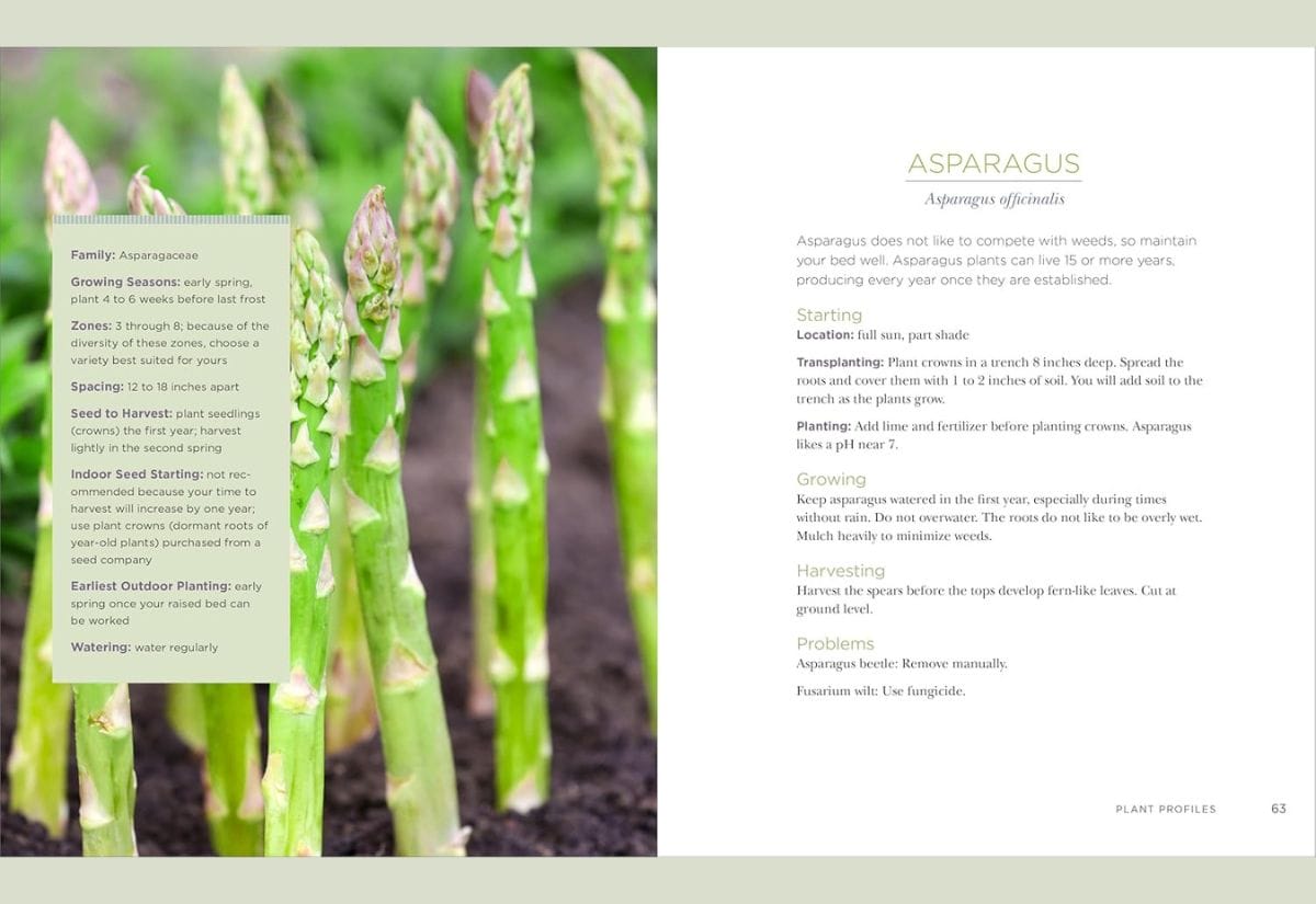 Close-up of fresh asparagus spears growing in a garden bed with planting and care tips listed on the page.