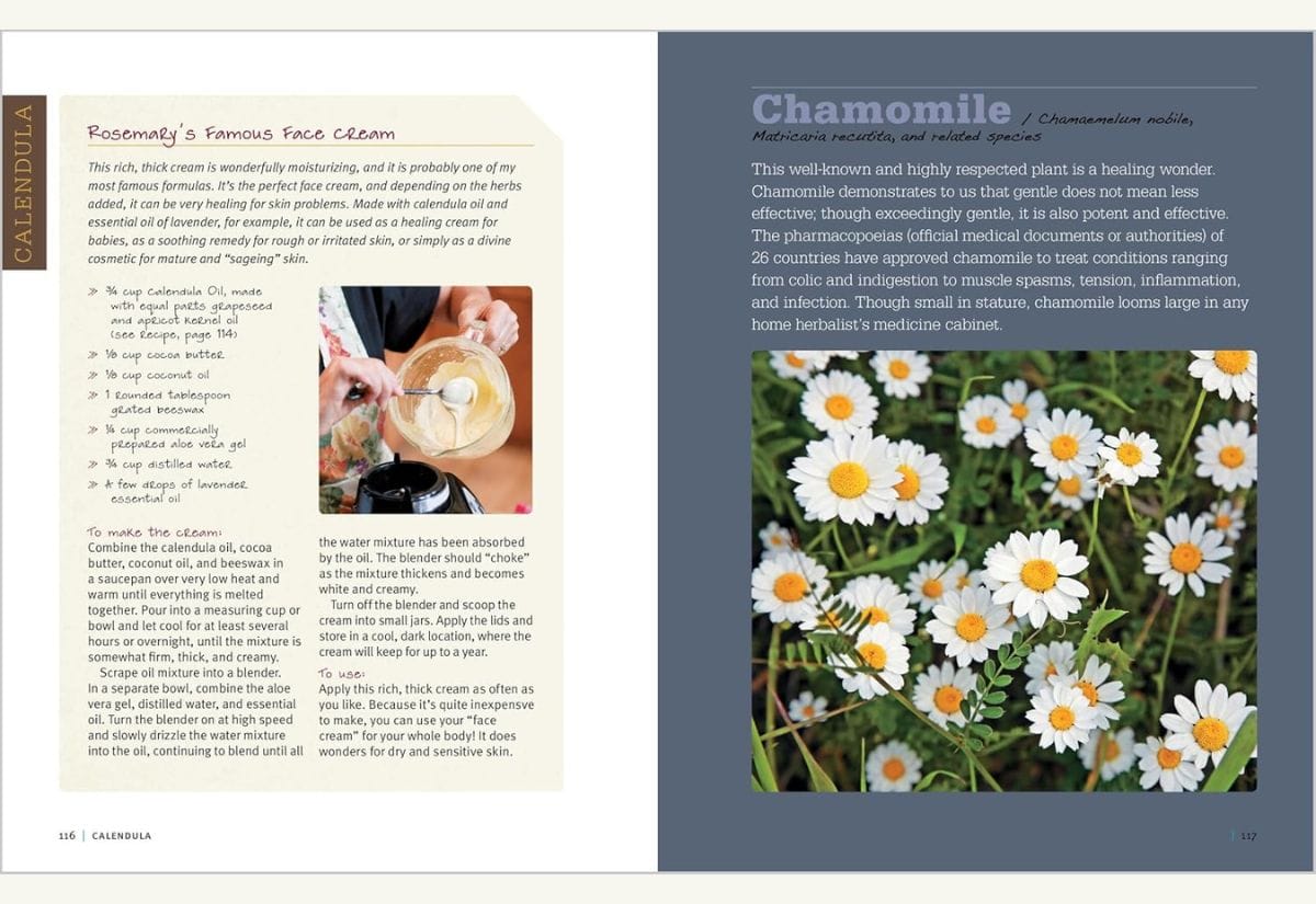 Recipe page for Rosemary's Famous Face Cream and a photo of chamomile flowers.