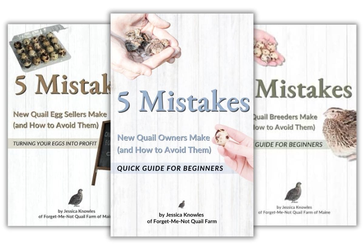 Covers of 5 Mistakes New Quail Owners Make, 5 Mistakes New Quail Breeders Make, and 5 Mistakes New Quail Sellers Make by Jessica Knowles.