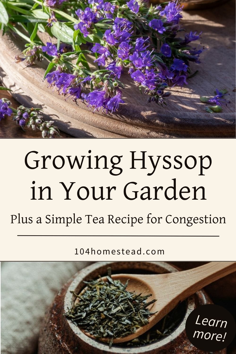 Hyssop flowers freshly cut on a wooden tray, with a second image of dried tea leaves in a wooden spoon. Text overlay says “Growing Hyssop in Your Garden – Plus a Simple Tea Recipe for Congestion.”