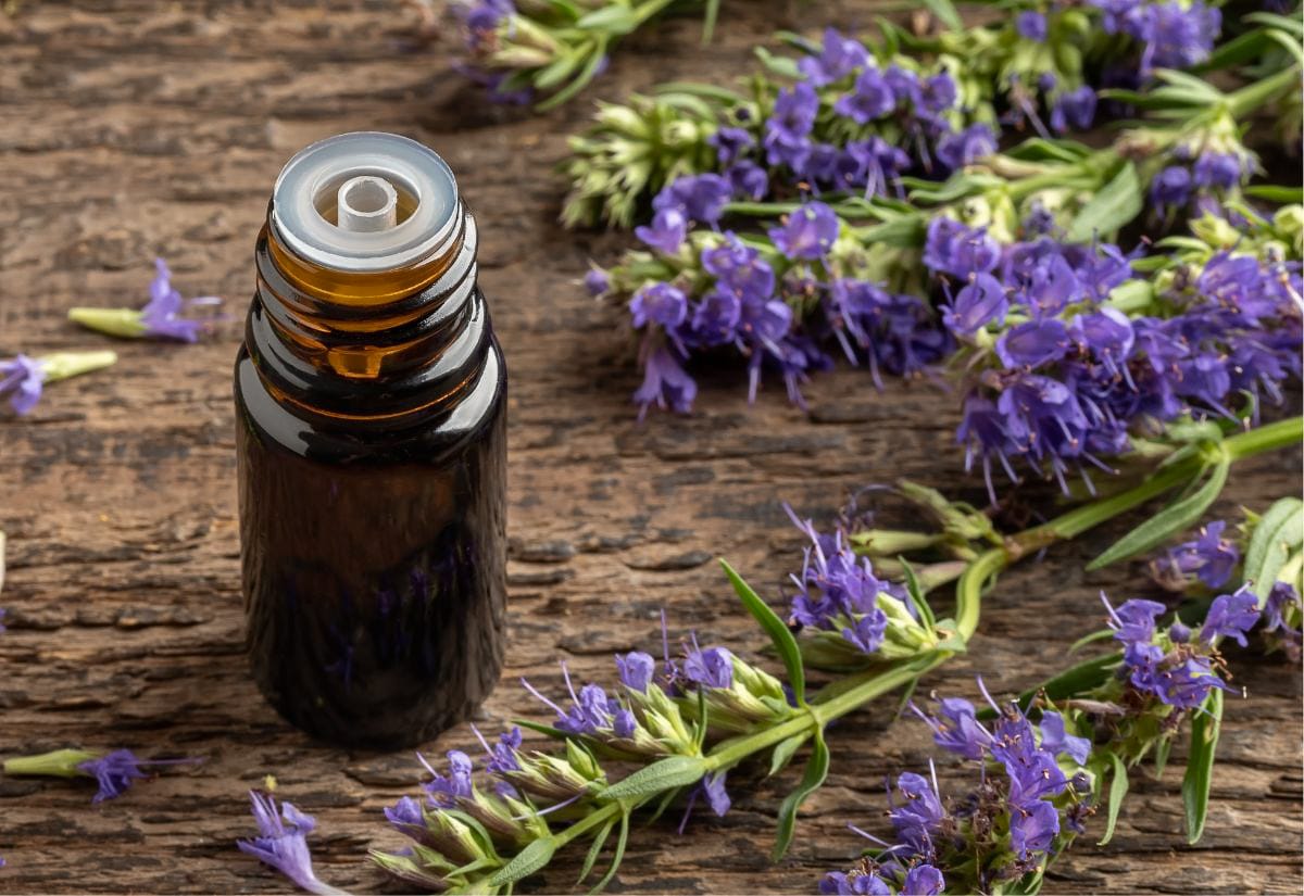Small amber bottle on a rustic table surrounded by hyssop sprigs, suggesting herbal uses like tea, infused honey, or oil.