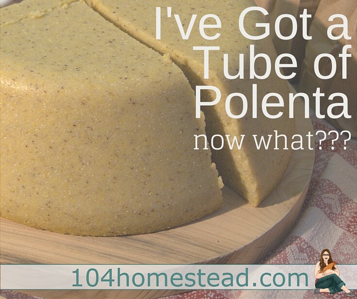 Polenta: A Gluten-Free Alternative to Grains