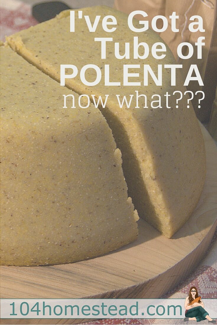 Many people see polenta in the health food store and just keep on walking, but you don't want to miss out on this awesome side dish substitute.