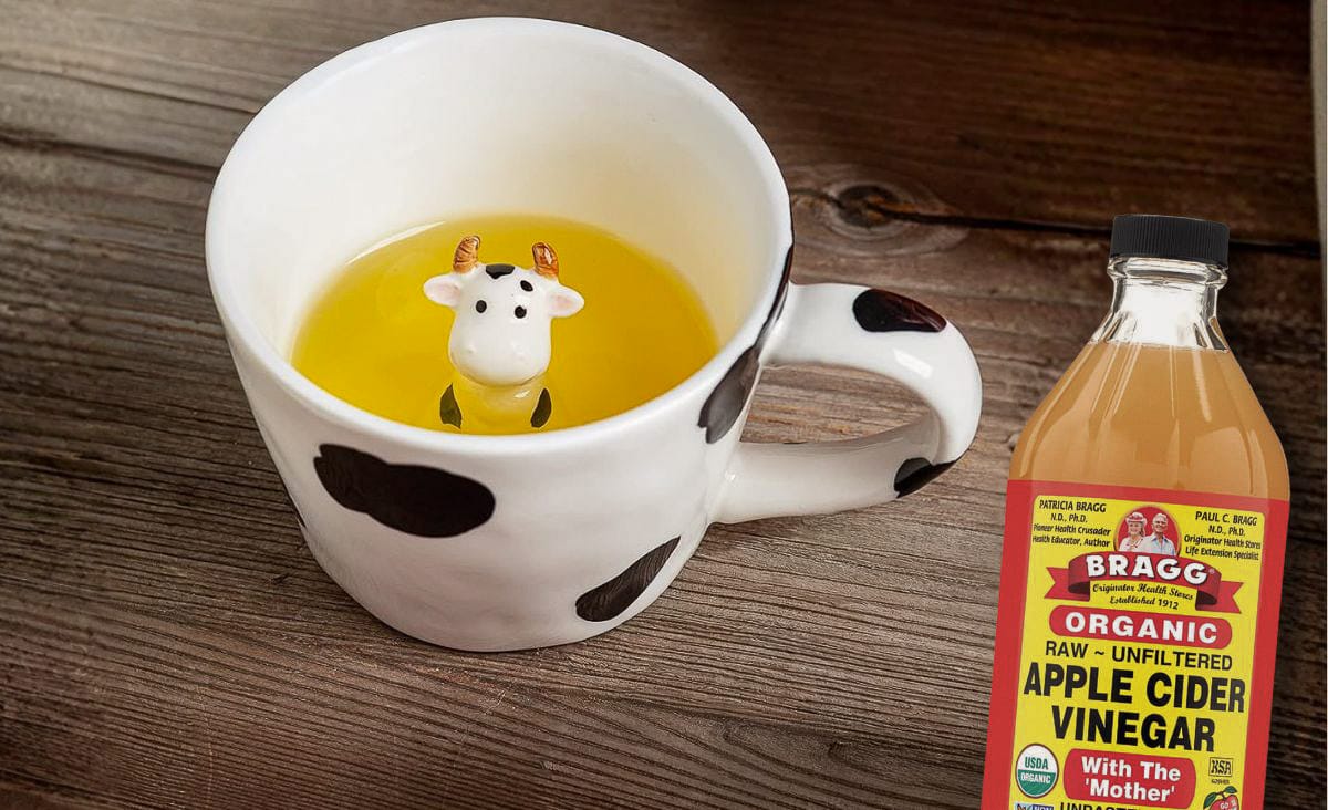 A white cow-print mug of hot yellow tea with a small ceramic cow figurine inside, set on a wooden tabletop with a bottle of Bragg organic apple cider vinegar placed to the right of the mug.
