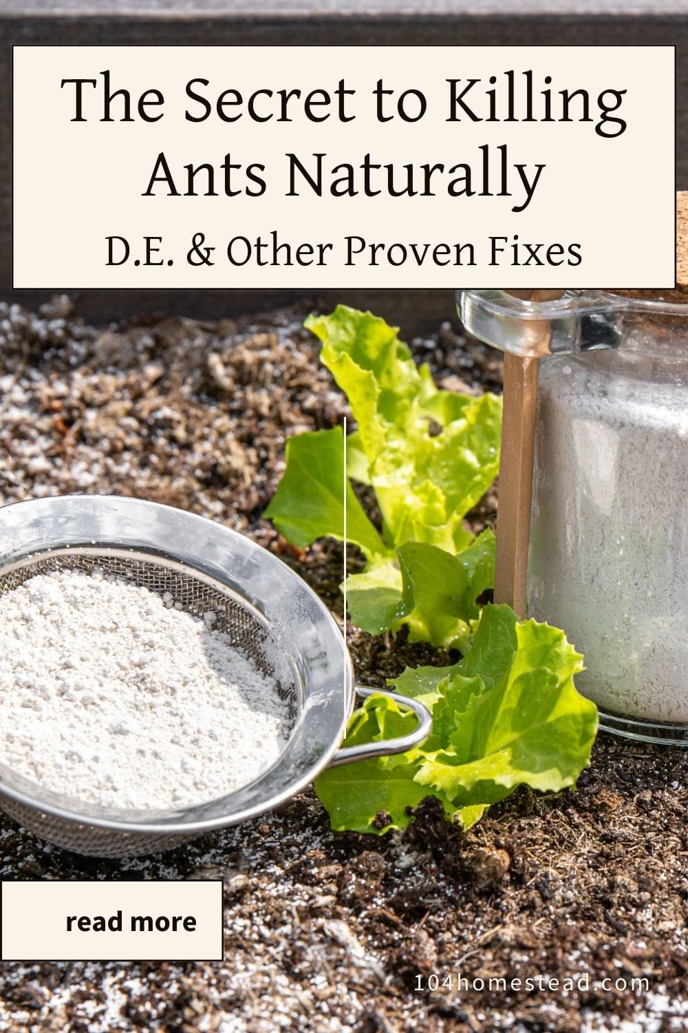 A metal sifter filled with diatomaceous earth being sprinkled in a garden bed to repel ants naturally.