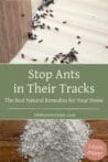 A pile of diatomaceous earth on a wooden floor, with ants swarming near a doorway.