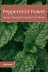 Close-up of peppermint leaves, ideal for DIY mosquito repellents.