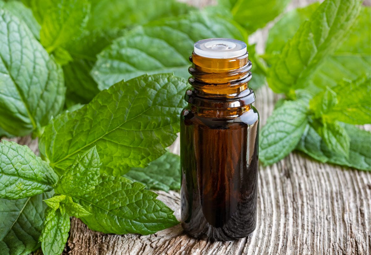 Amber glass bottle of essential oil surrounded by fresh mint leaves on a rustic wooden surface.