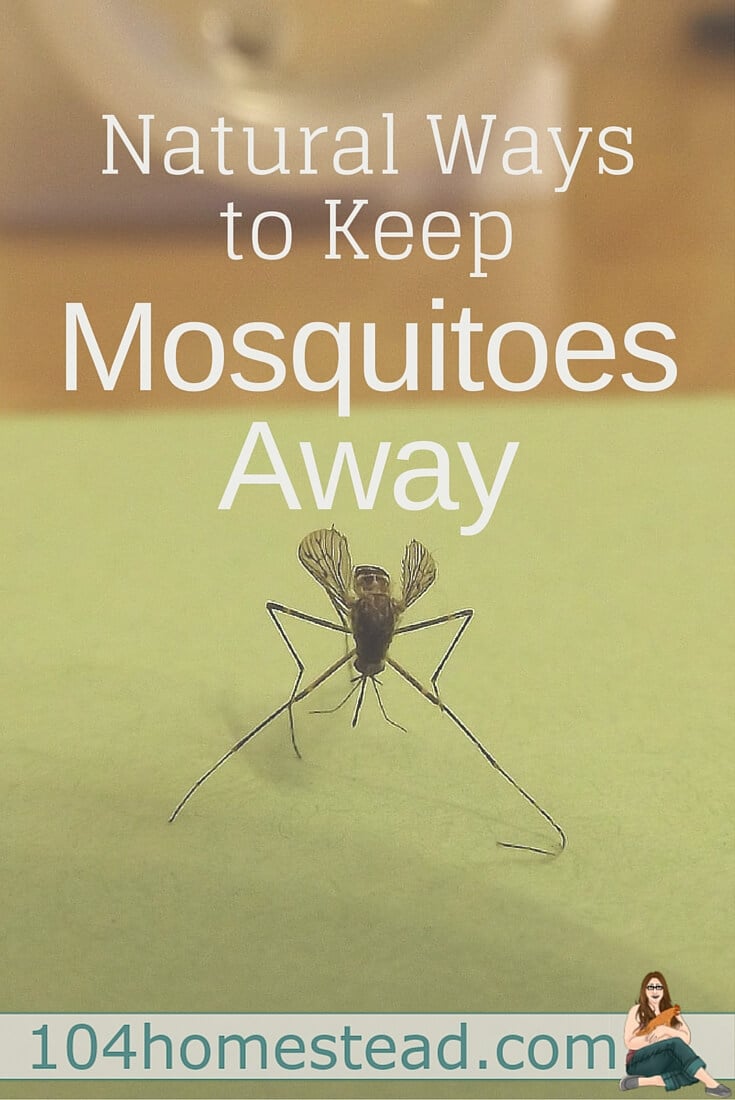 Best way to keep deals mosquito away