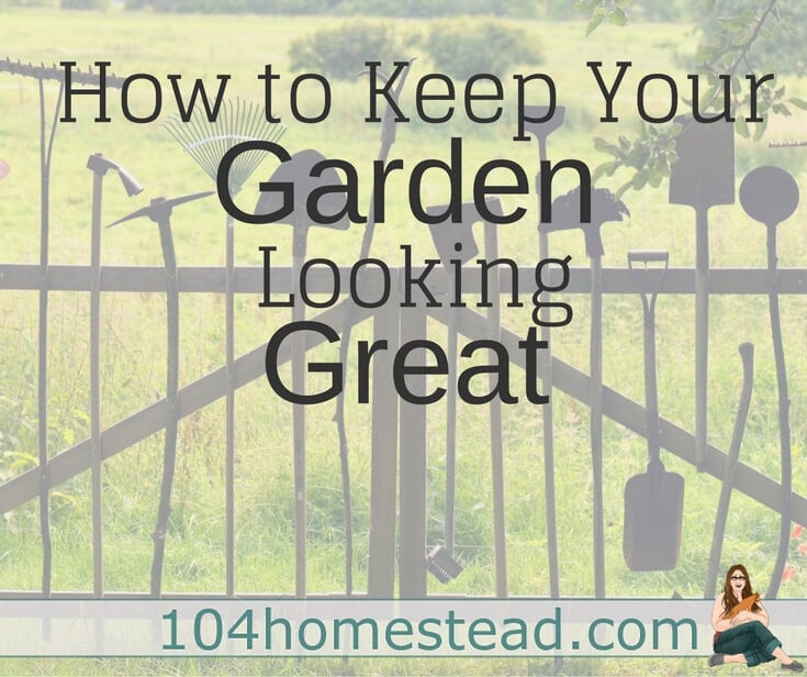 How to Keep Your Garden Looking Great