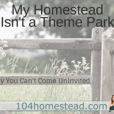 My Homestead: Why You Can’t Come Unannouced