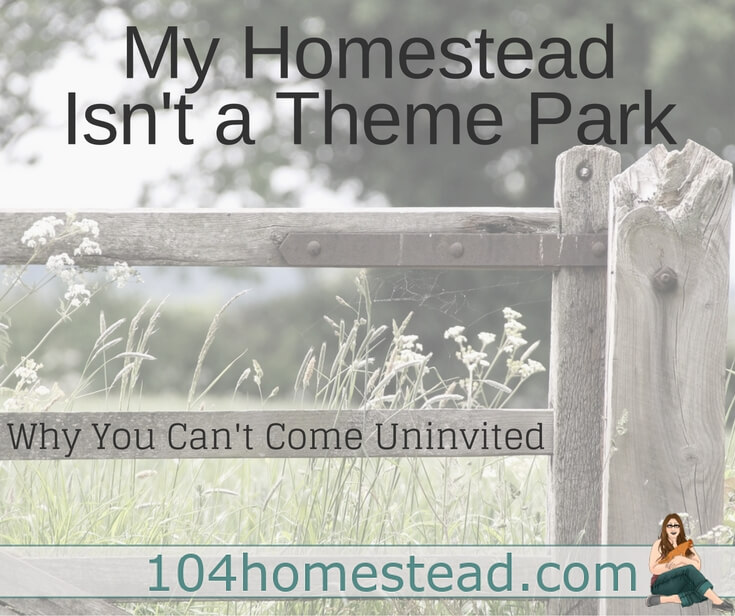 My homestead is not a theme park, petting zoo, or quaint local tourist spot. It is my home. Here's the reasons why you can't just stop by unannounced.