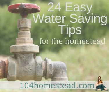 Water conservation has a great number of benefits. The homestead is ripe for opportunities to save water. Here are a just a few to get you started!