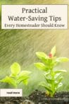 Close-up of young plants in soil being watered by rain, symbolizing water conservation efforts on a homestead.