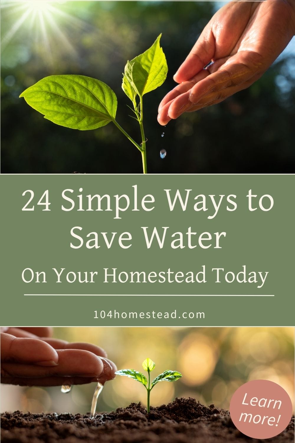 Hands gently watering a small seedling in soil with sunlight in the background, representing sustainable water usage on a homestead.