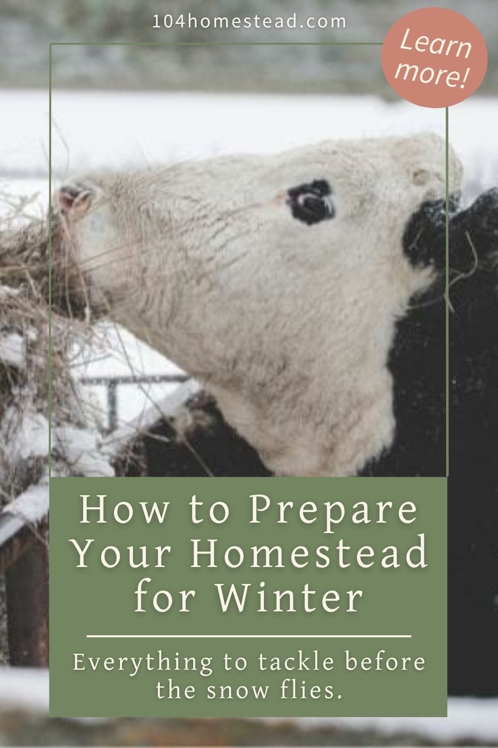 Pinterest graphic for The 104 Homestead showing a cow eating hay in a snowy pasture with text that reads “How to Prepare Your Homestead for Winter — Everything to tackle before the snow flies.”
