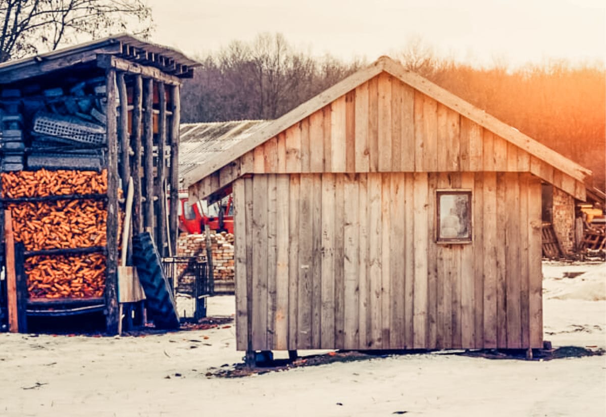 Wood shed and chicken coop surrounded by snow, stacked with split firewood, lit by warm evening sunlight.