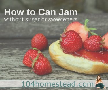 1 to 1. That's the average ratio of fruit to sugar in most jam recipes. Can you make a delicious jam without sugar or sweetener? Why yes you can!