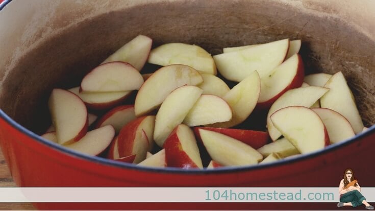 Cored and sliced apples in a red enamel pot.