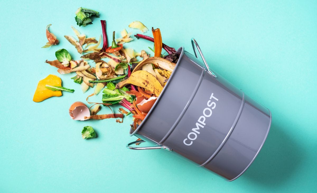 A compost bin with food scraps falling out of it with a teal background.