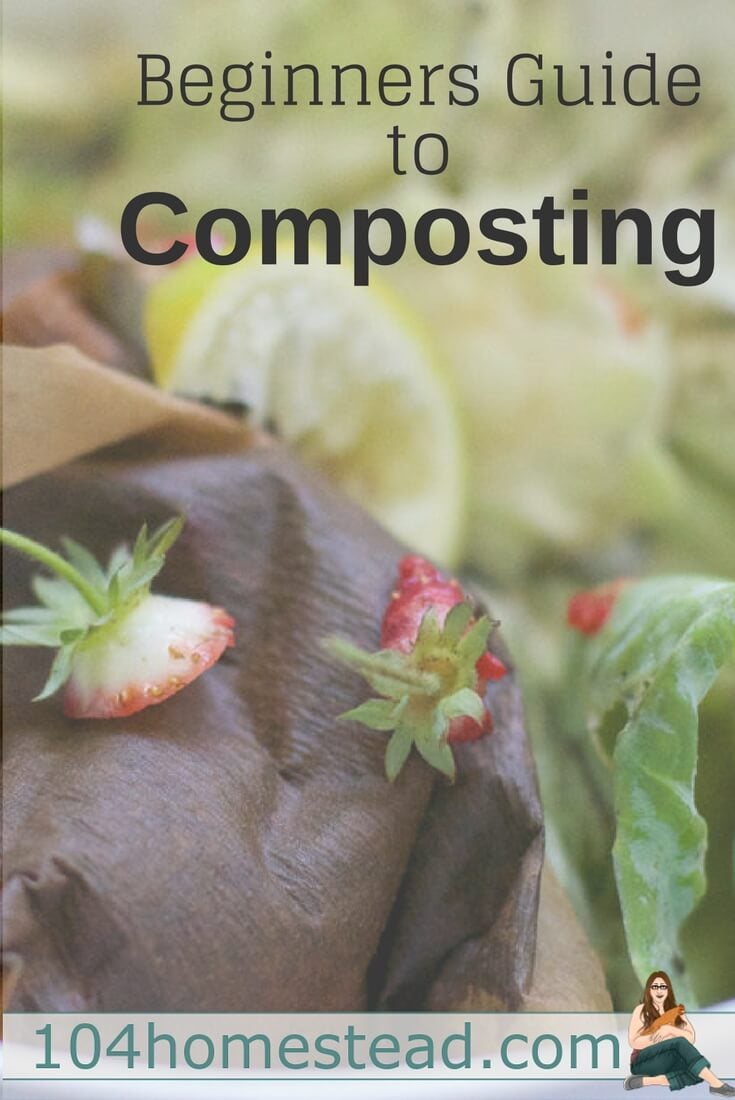 Regardless of whether you garden indoors or out, you should be composting. It can seem overwhelming, but I;m going to simplify the process for you.