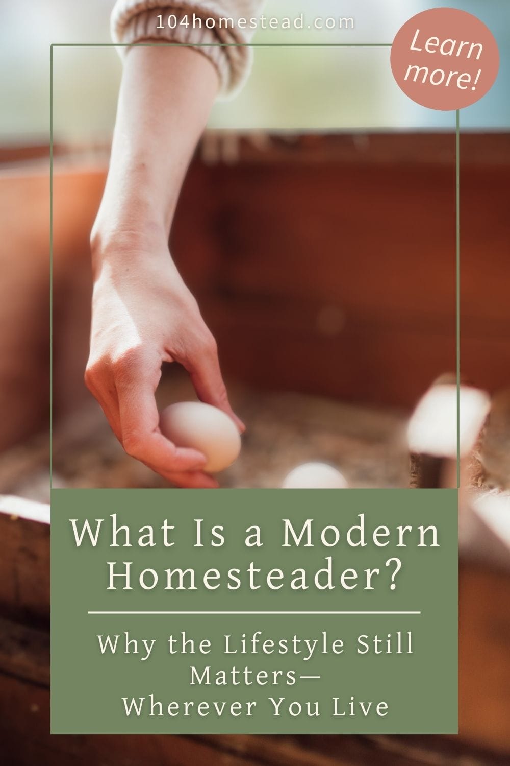 Hand reaching into a nesting box to collect a fresh egg, with warm lighting and a natural wood setting—representing everyday homesteading moments.
