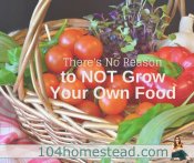 There’s No Reason to NOT be Growing Food