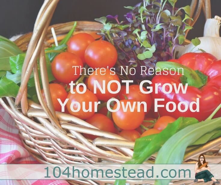Homesteaders are growing food, cooking with it, and preserving it. You may think you don’t have the space or time, but I assure you, you can do it.