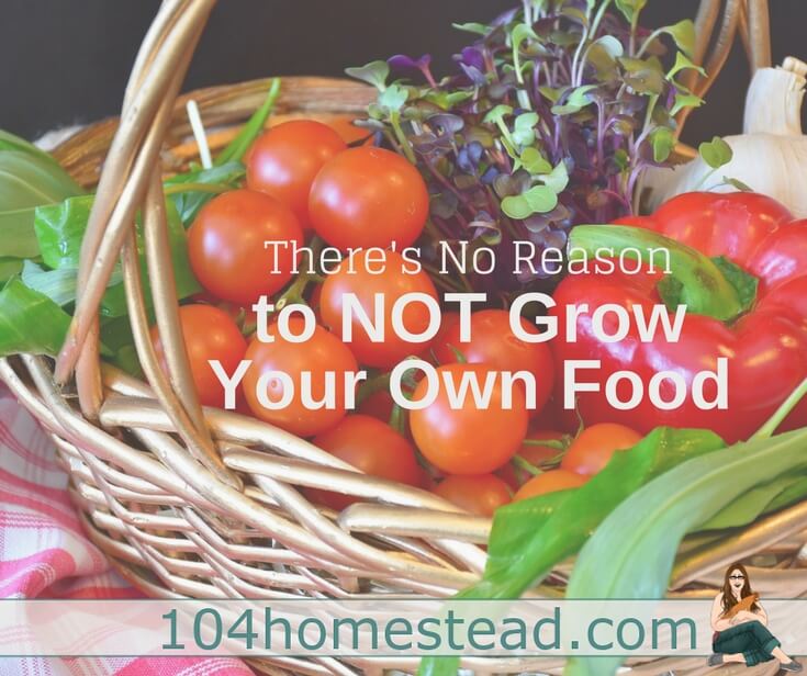 There’s No Reason to NOT be Growing Food