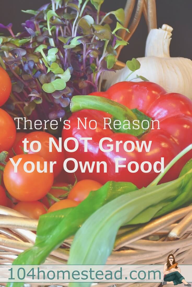 Homesteaders are growing food, cooking with it, and preserving it. You may think you don’t have the space or time, but I assure you, you can do it.