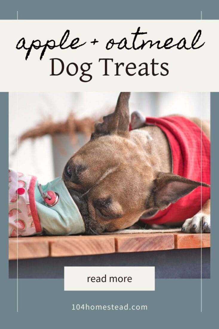 A Pinterest-friendly graphic for my homemade dog treat recipe.