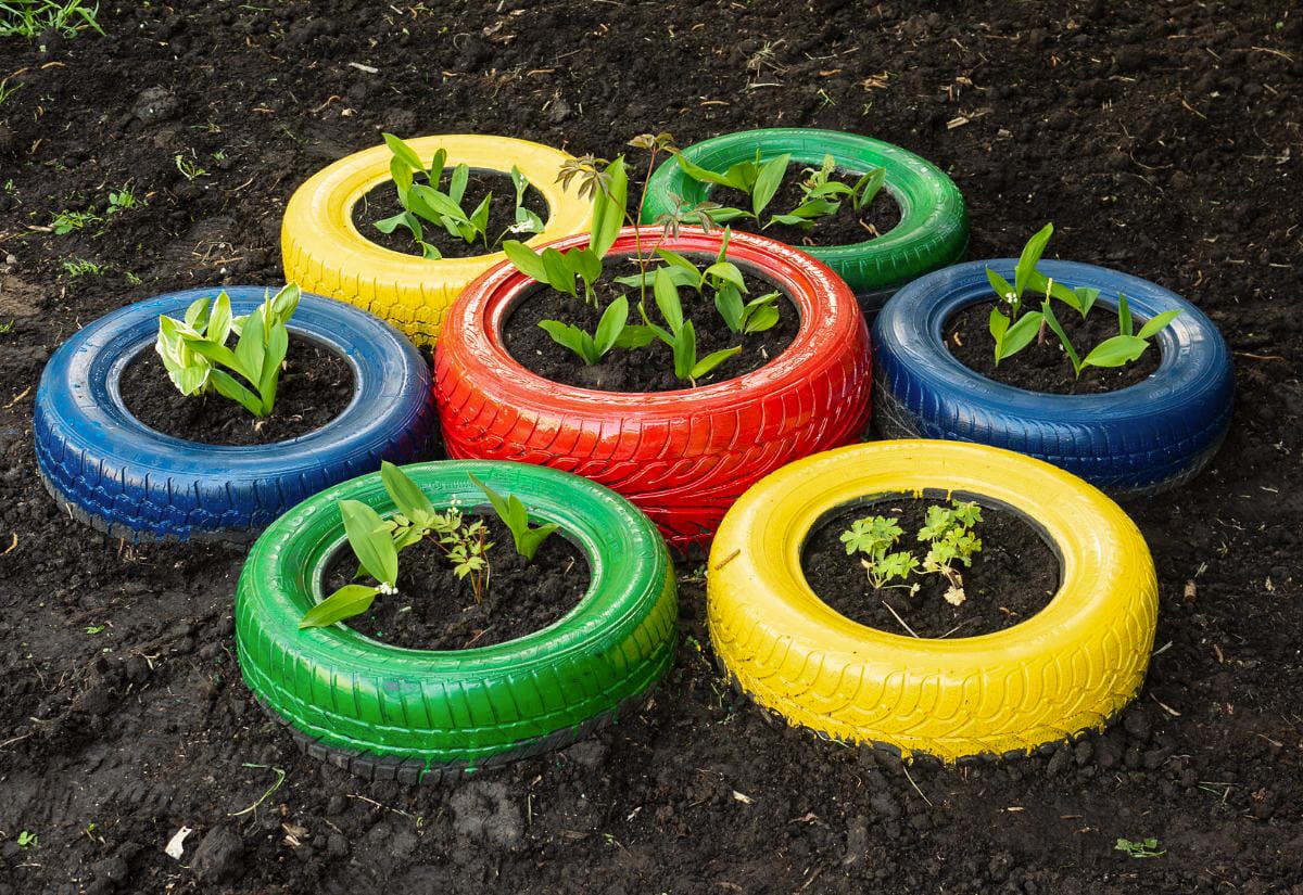 Brightly painted red, yellow, blue, and green tires are repurposed as garden planters, each filled with soil and young leafy plants.