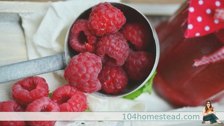 Mixed berry jam is perfect for this time of year. Strawberries are just wrapping up, raspberries are abundant, and we're starting to see blueberries.