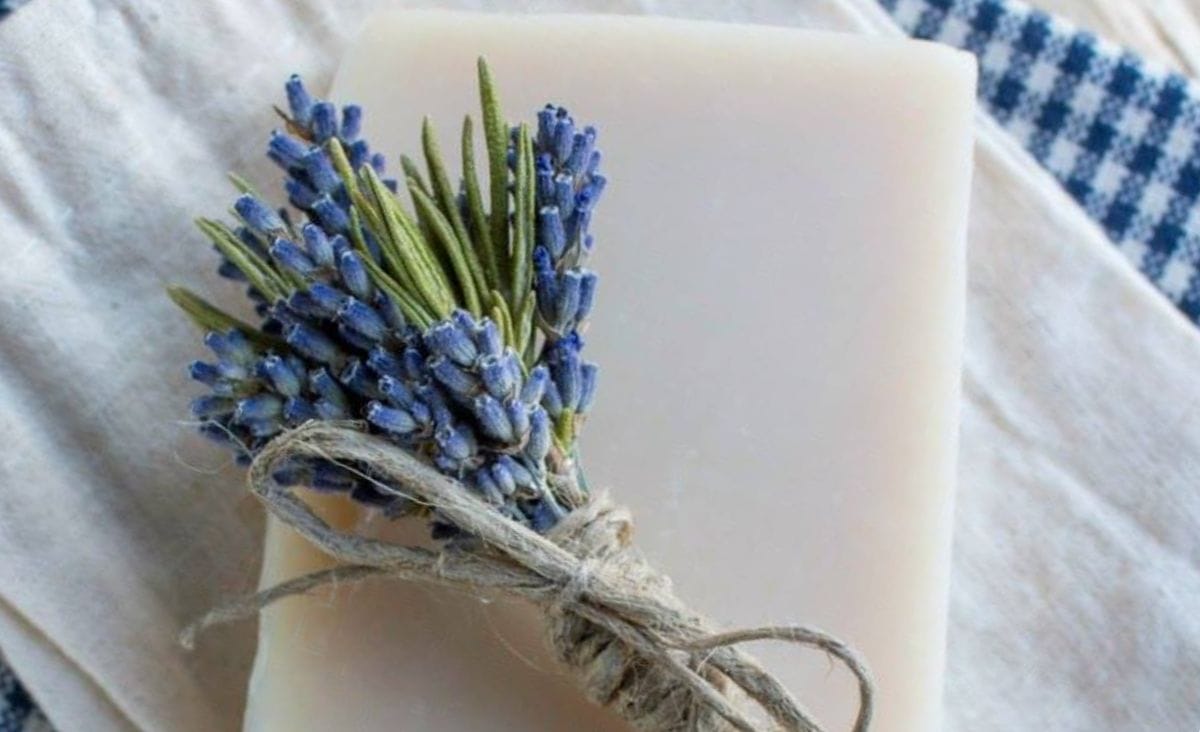 A lavender scented goat milk shampoo with sprigs of fresh lavender tied with twine.
