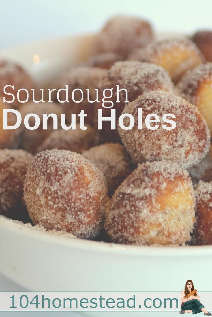 Sourdough donut holes are easy to make. Nothing beats a warm sugary donut, rolled in cinnamon sugar, paired with ice cream. They will melt in your mouth.