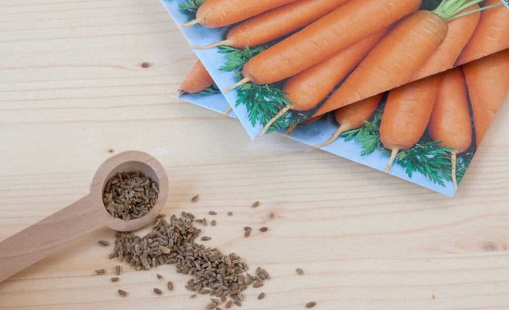 Carrot seed packets with seeds spread around them.