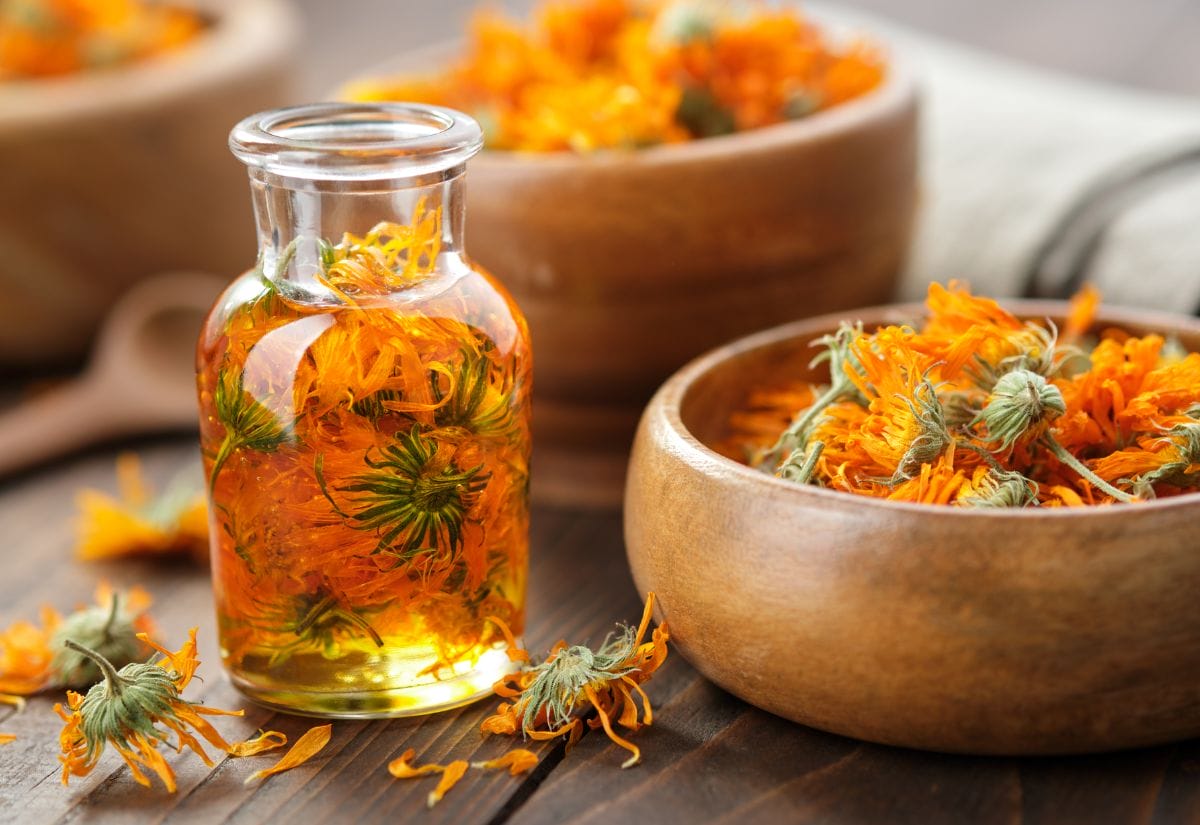 A glass bottle filled with vibrant orange marigold tincture surrounded by fresh marigold flowers in wooden bowls.