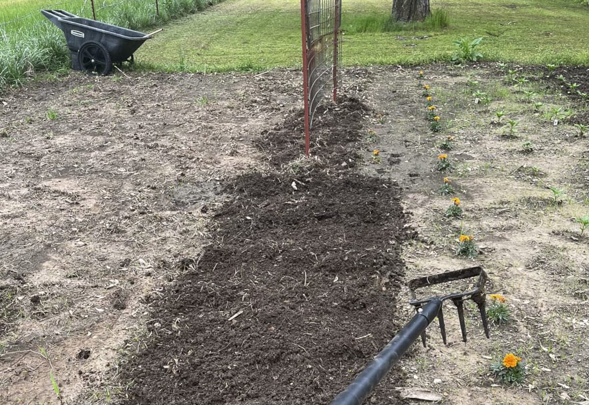 Freshly loosened garden bed with dark soil turned by a stirrup hoe with cultivator, showing a simple, low-tech way to prepare soil without heavy equipment.