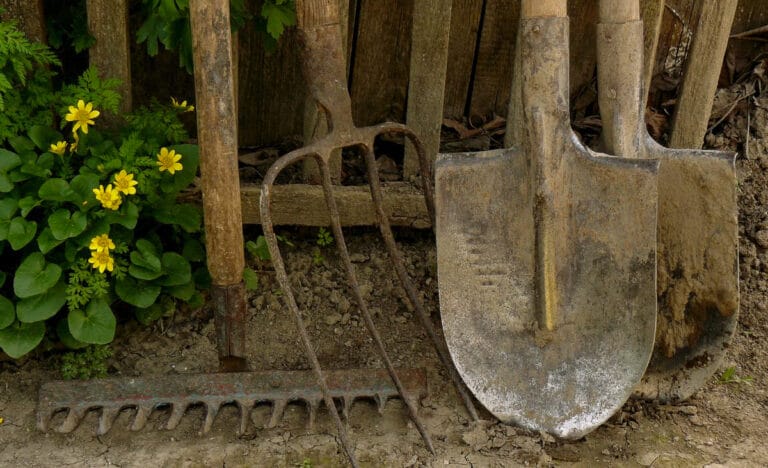 Well-worn garden tools with wooden handles leaning against a fence, including shovels and rakes that show years of practical use.