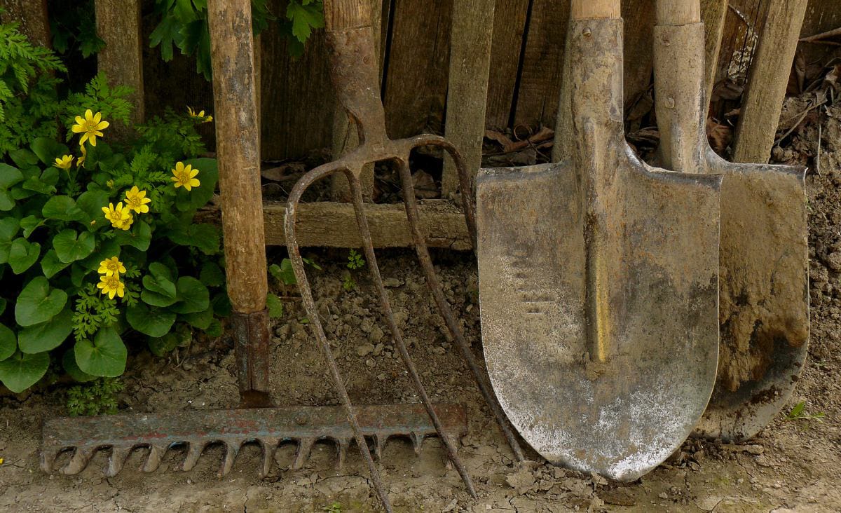 Well-worn garden tools with wooden handles leaning against a fence, including shovels and rakes that show years of practical use.