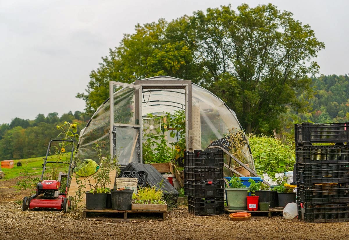 A functional homestead garden setup with a small greenhouse, crates, containers, and tools scattered around, highlighting real-life gardening in action.